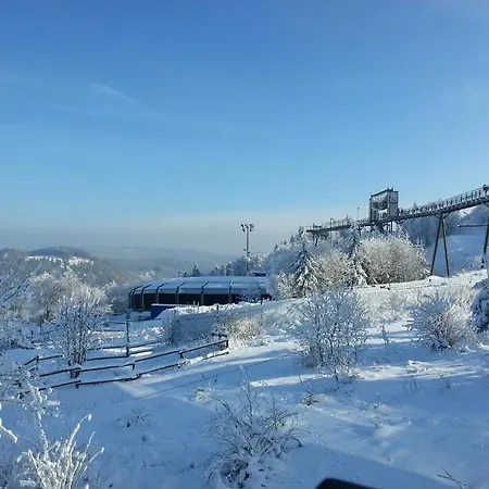 Luge - *