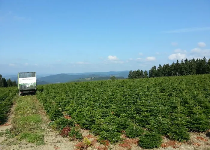 Apartmán Luge - Winterberg